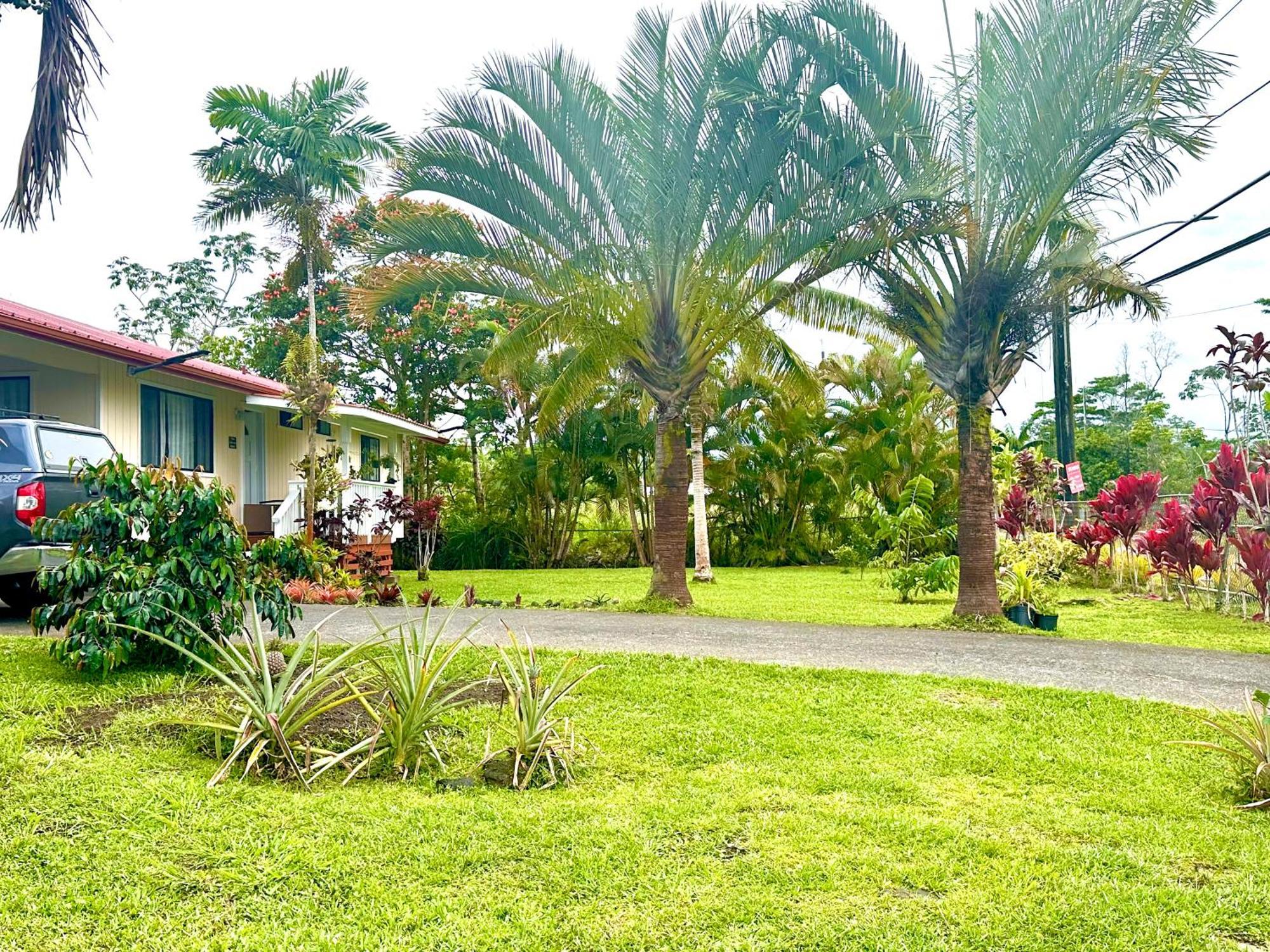 דירות Pahoa Big Island Getaway מראה חיצוני תמונה